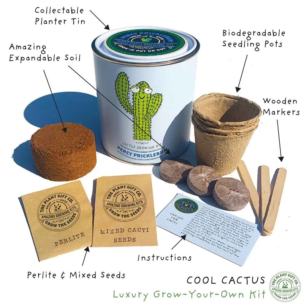 Percy Pricklebum Cactus Growing Kit by The Plant Gift Co.