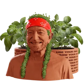 WILLIE NELSON CHIA PET HERB PLANTER